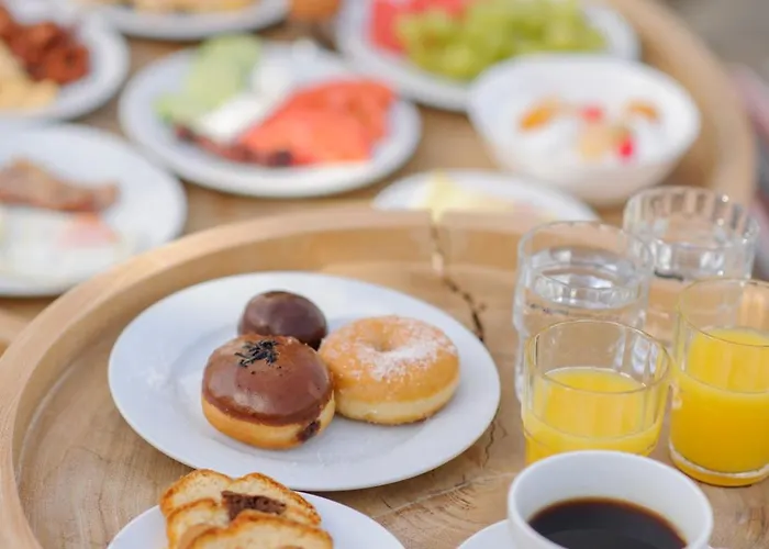 塞利尼酒店 酒店 3*